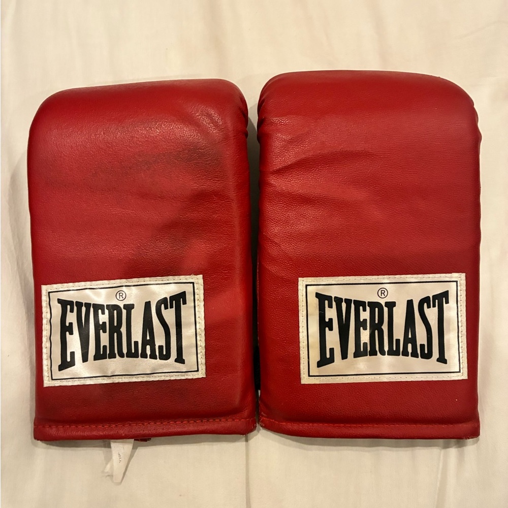 Everlast Red Training Mitts